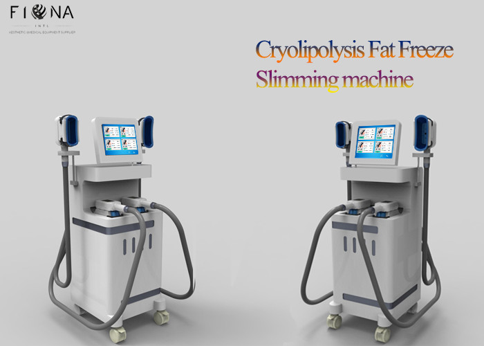 Quality Cryolipolysis Slimming Machine For Home Use , Cryolipolysis Fat Freezing Machine for sale