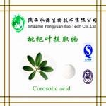China Chinese herbal extract 100% Natural ingredient 10-30% Corosolic acid(Loquat Leaf Extract) on sale