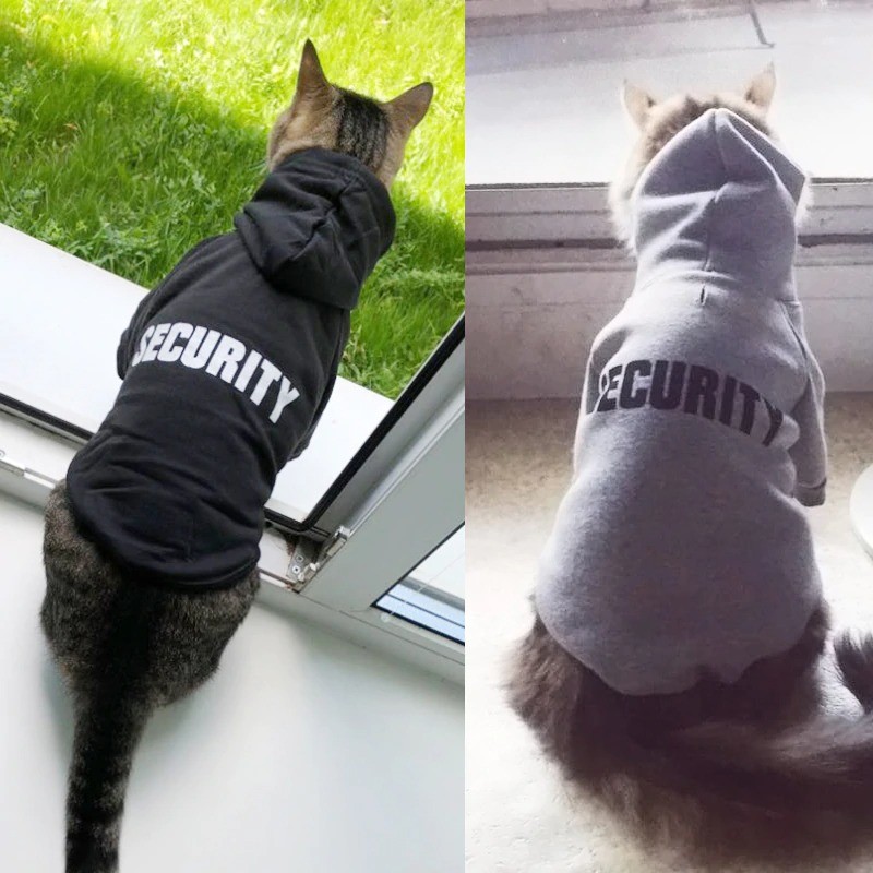 Buy Eco Friendly Cute Cat Hoodie , Warm Pet Costumes For Small Dogs at wholesale prices