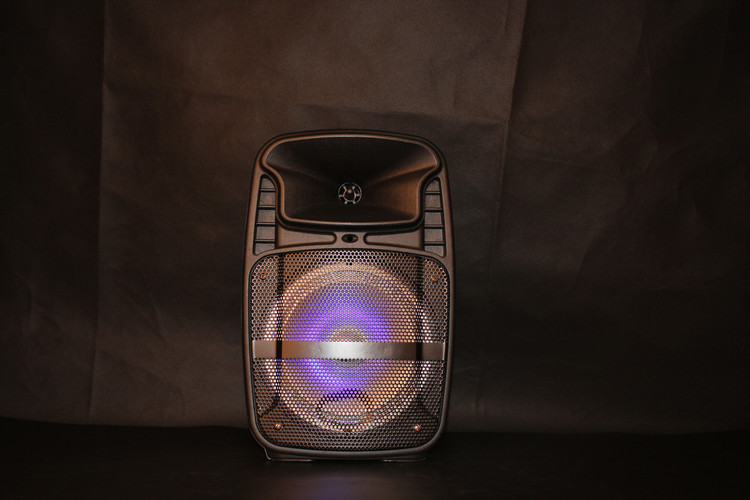 Quality Rechargeable Lithium Battery Portable Trolley Speakers With Fm Radio Function for sale