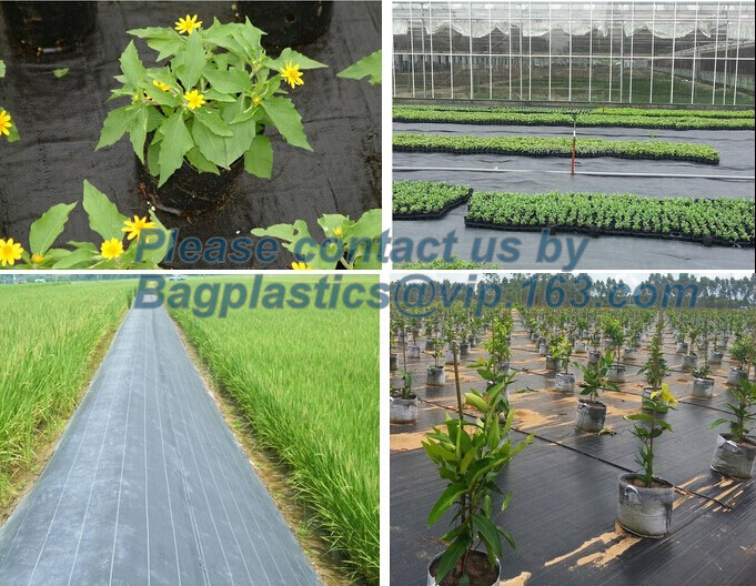 Quality Water management weeb control pavement preservation courtyard beautify anti insect anti mold seedbed protection vegetati for sale
