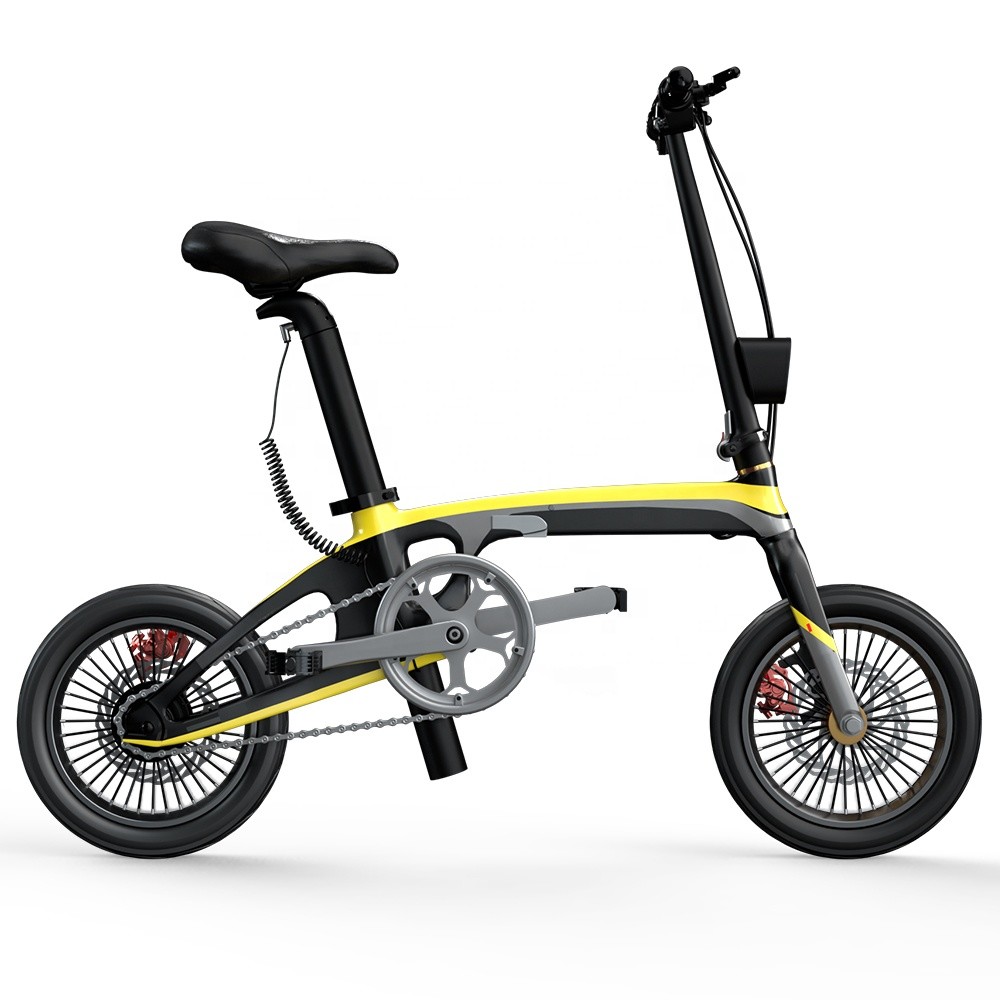 Carbon Fibre Lightest Folding Electric Bike 250W With Sealed Axis