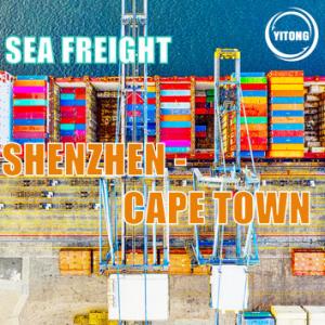 Quality Shenzhen to Cape Town International Sea Freight Service  FOB CIF EXW  Trade Term for sale