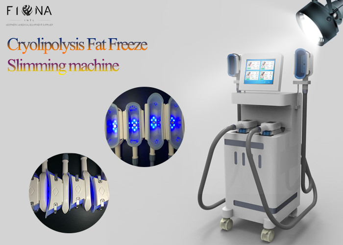 Quality Home Slim Freeze Fat Freeze Slimming Machine Vacuum Cavitation System for sale