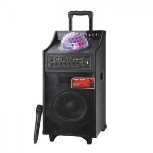 Quality 40 Watt Black Battery PA Speaker Bluetooth Disco Light Speaker For Outdoor Party for sale