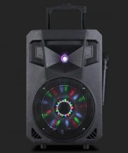Quality 12 Inch Portable Disco Light Bluetooth Trolley Speaker Rechargeable Dj Speakers for sale
