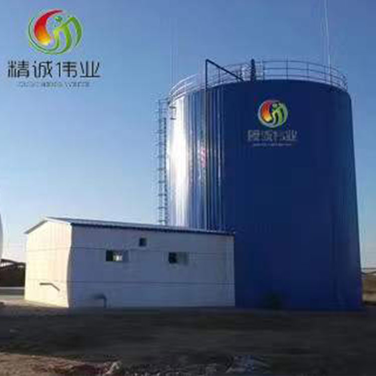 Quality CH4 CO2 Biogas Plant Project Q235B Biogas Cogeneration Plant for sale