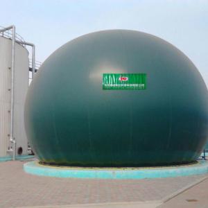 Quality Green Membrane Gas Holder PES PVC Floating Gas Holder Biogas Plant for sale