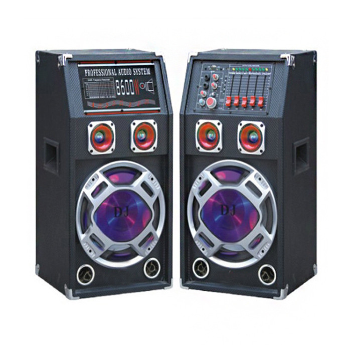 Quality Karaoke 100 Watt Portable Bluetooth PA Speakers With Equalizer And Mic Input for sale