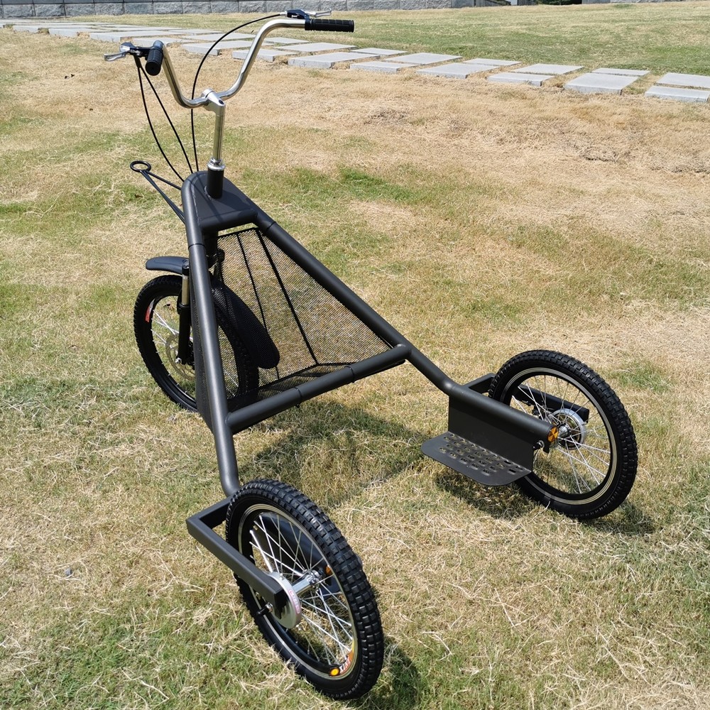 Quality Powered Dog Trike Tricycle for sale