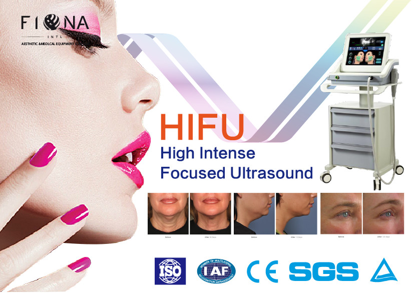 Quality Multifunctional 2 In 1 HIFU Beauty Machine Skin Care / Weight Loss 7MHZ Frequency for sale