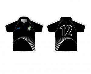 Quality BSCI 100% Polyester Customized Cricket Teamwear Jersey Mens use for sale