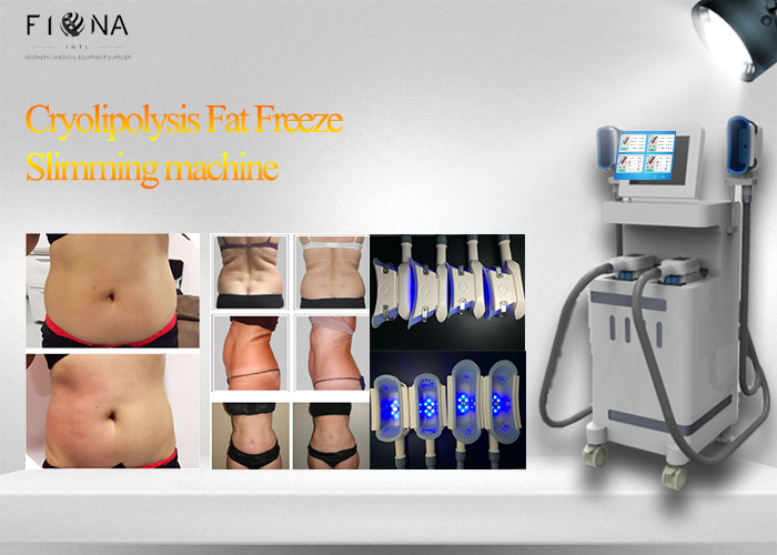 Quality RF Cavitation Cryolipolysis Fat Freeze Slimming Machine Frozen Fat Removal for sale