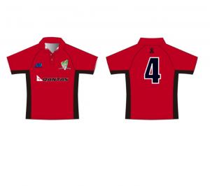 Quality XS-3XL Sublimated Cricket Teamwear Uniforms Jersey For Clubs for sale