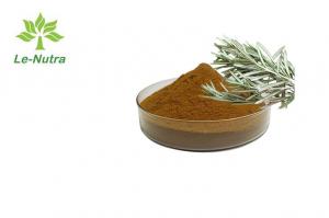 China Herbal Rosemary Leaf Extract Powder Antioxidant For Skin on sale