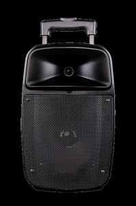 Quality Wireless Microphone Outdoor Rechargeable Dj Speakers With Bluetooth / Fm Radio for sale