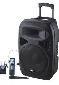 Quality High Power 120 Watt Portable Trolley Speakers , Bluetooth Powered PA Speakers for sale