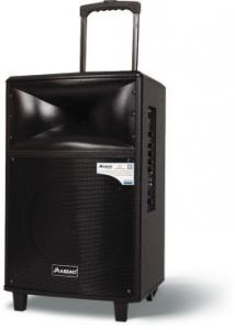 Quality Portable PA Rechargeable Trolley Speaker Sound System For Instrument / Advertising for sale