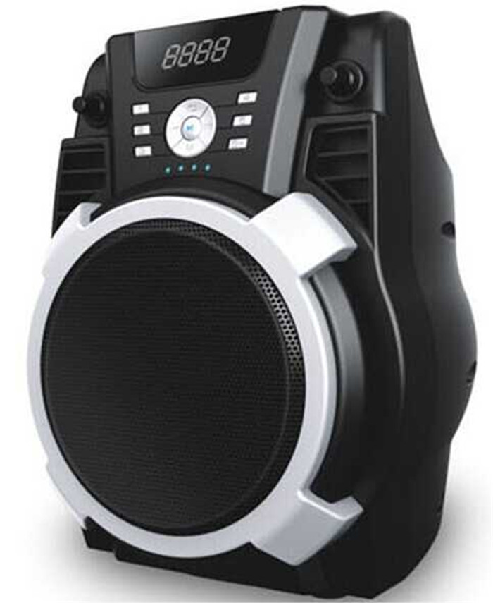 Quality Outdoor Portable Battery Powered Active Speaker Systems With SD / FM And USB for sale