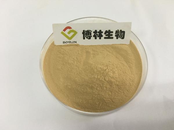 High Quality Organic Aloe Vera Extract Powder 60% Aloin Powder