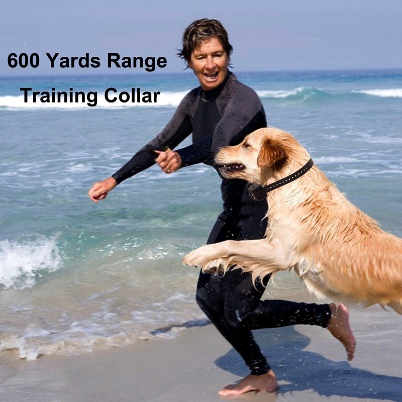600 Yards Remote Dog Training E-collar with Beep/Vibration/Shock Electric Submersible train up to 3 dogs