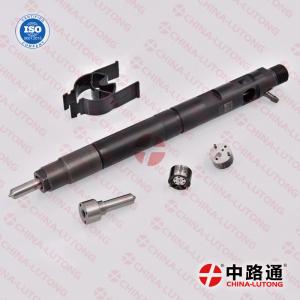 Quality High quality LJBB05502A 320/06838 Fuel CR Systems Fuel Injectors for delphi diesel injectors for sale  common rail fuel for sale