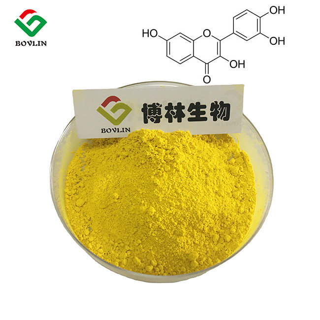 Pharmaceutical Natural Anti Oxidant Anti Tumor Bio Fisetin Yellow