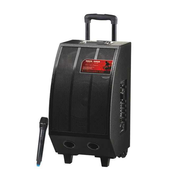 Quality Compact Wireless Bluetooth Trolley Speaker Rechargeable PA Systems Portable for sale