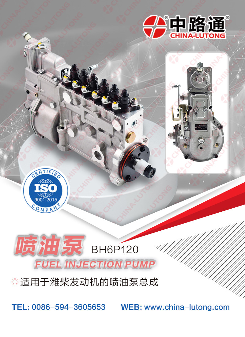 Quality China Fuel Injection Pump BHM6P120YAY170 for Weichai for WD615.61AG26 Sinotruck engine fuel injection pump for sale