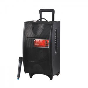 Quality Portable Rechargeable Bluetooth Trolley Speaker With Wireless Microphone for sale