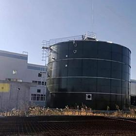 Quality EGSB Anaerobic Reactor Wastewater Treatment Manure Methane Digester for sale