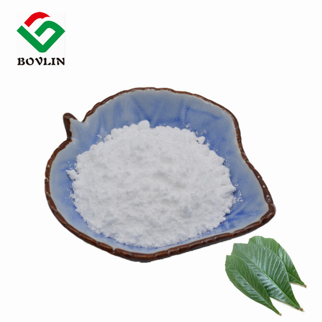 Natural Herbal Loquat Leaf Extract Powder CAS 77-52-1
