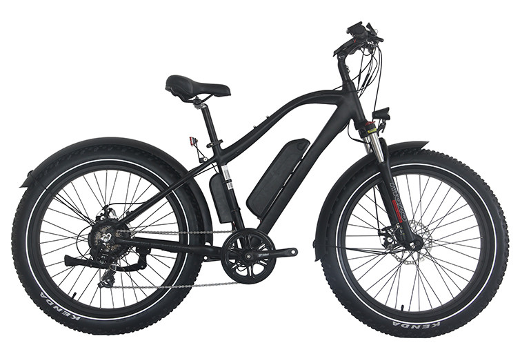 Buy 48V 750W Mountain E Bike with Tektro Hydraulic Brake system at wholesale prices