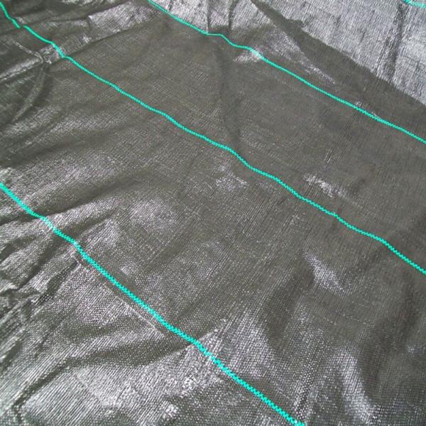 Buy # 2022 Weed Block Fabric,Weed Mat,Anti Weed FabricGround Cover Fabric,Weed Control Fabric,PE Anti Weed Fabric at wholesale prices
