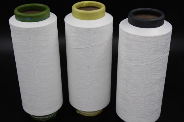 Extrusion Nylon Filament Yarn 36