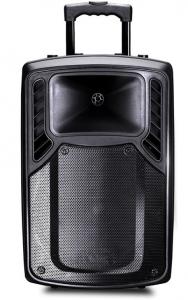 Quality Rechargeable Plastic Portable Trolley Speakers , Portable Active PA Speaker for sale