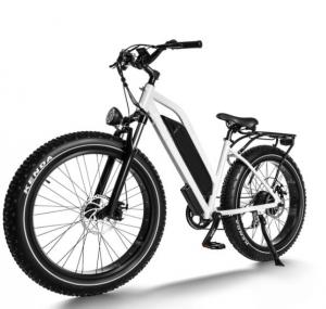 China 7 Speed Adult Electric Mountain Bike 6061 Aluminum Alloy 700W 40-50km on sale
