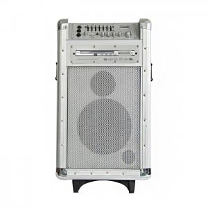 Quality Professional Wooden Battery PA Speaker System With Dvd Player / Fm And Usb for sale