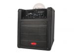 Rechargeable Battery Portable DJ Speaker With Disco Light , Blutooth , FM Radio