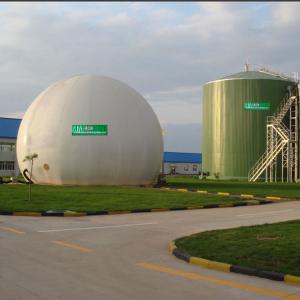 Quality Automatic Tecon Gas Holder Anaerobic Biogas Gas Holder Dual Membrane for sale
