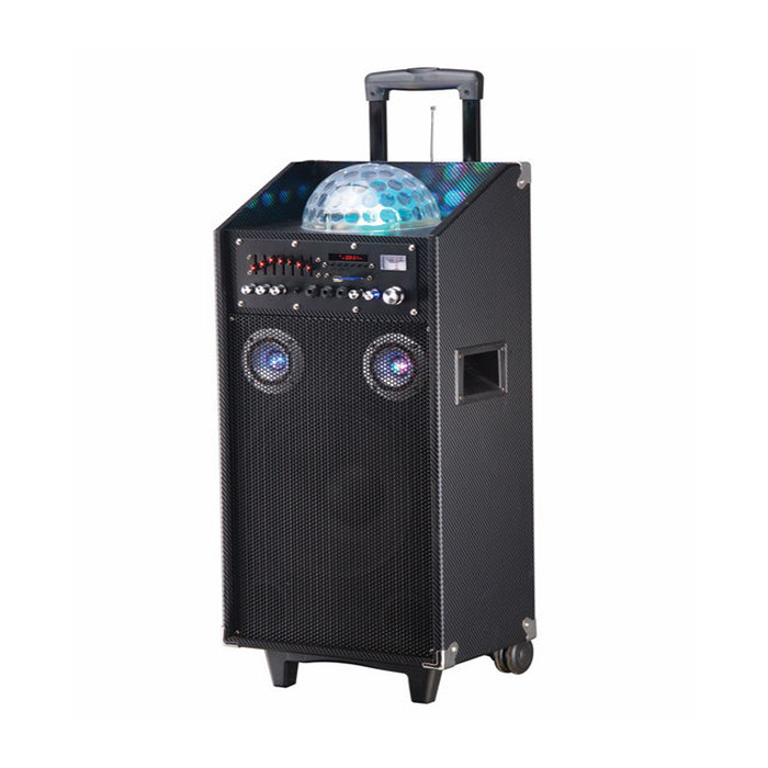 Quality 10 Inch Pro Audio Bluetooth Trolley Speaker With Bass And Microphone for sale