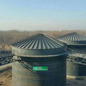 Quality WWTP 800m3 Biogas Digester Tank RNG Anaerobic Digester Septic Tank for sale