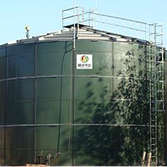 Quality Biogas EGSB Reactor Upflow Anaerobic Sludge Blanket Digestion For Chicken Manure for sale
