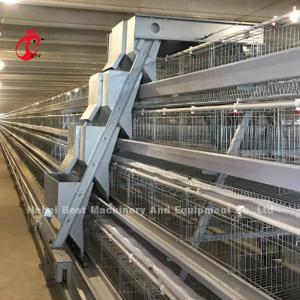 Automatic Layer Poultry Cage Chicken Farming Prefab House Complete Solutions Rose