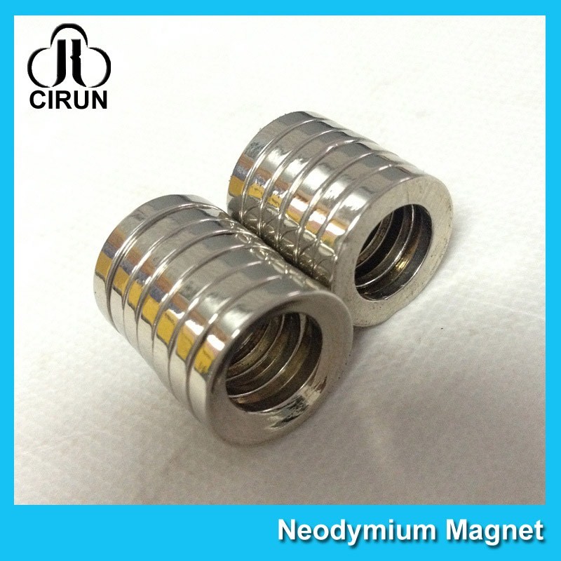 Multipole Radial Magnetization Neodymium Magnets Ring Shaped for Speaker