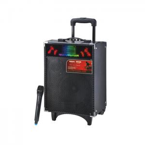 Quality High Power 60W Bluetooth Portable Trolley Speaker Battery Powered Dj Speakers for sale