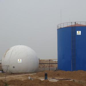 Quality Anaerobic Reactor Biogas Gas Holder Residential Methane Digester Bio Gas Holder for sale