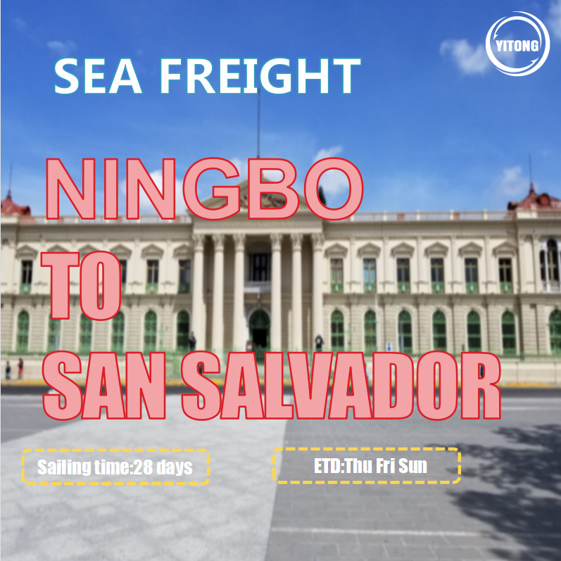 Quality Professional International Sea Freight From Ningbo To San Salvador Via ACAJUTLA for sale