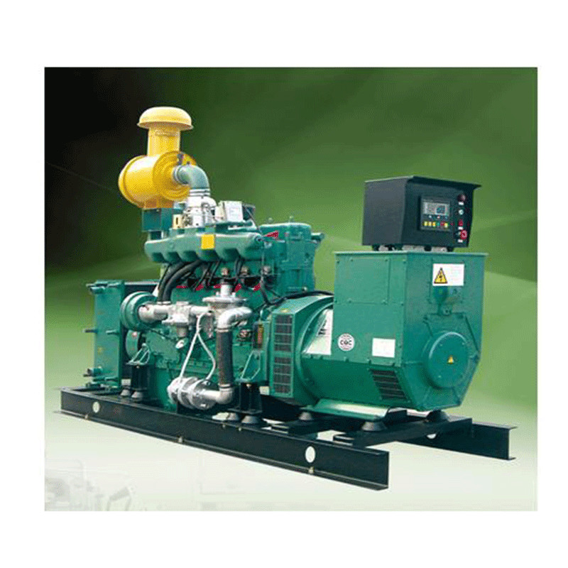Quality 10KVA Biogas Motor Generator 500KW Methane Gas Generator Electricity for sale