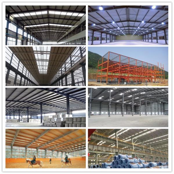 SGS Q355B Steel Structure Pre Engineered Building Construction